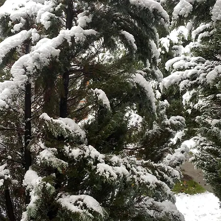 Deers Гостевой дом 3*