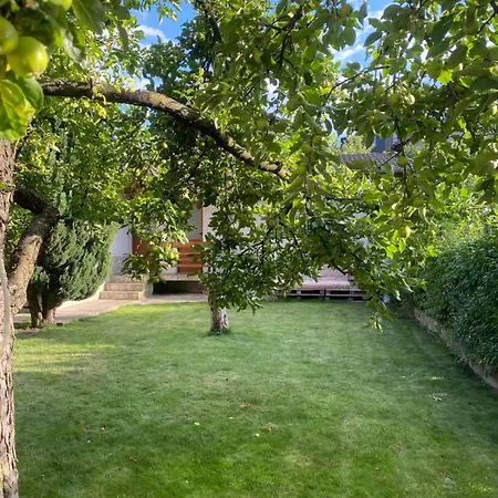 Deers 3* Банско