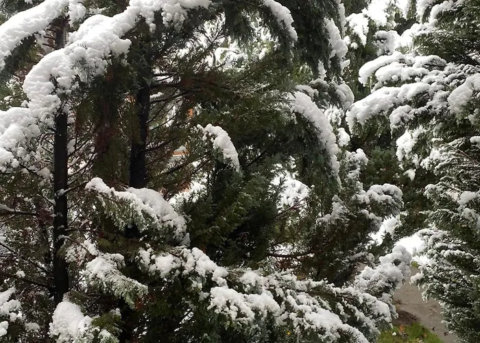 Deers Πανσιόν 3*