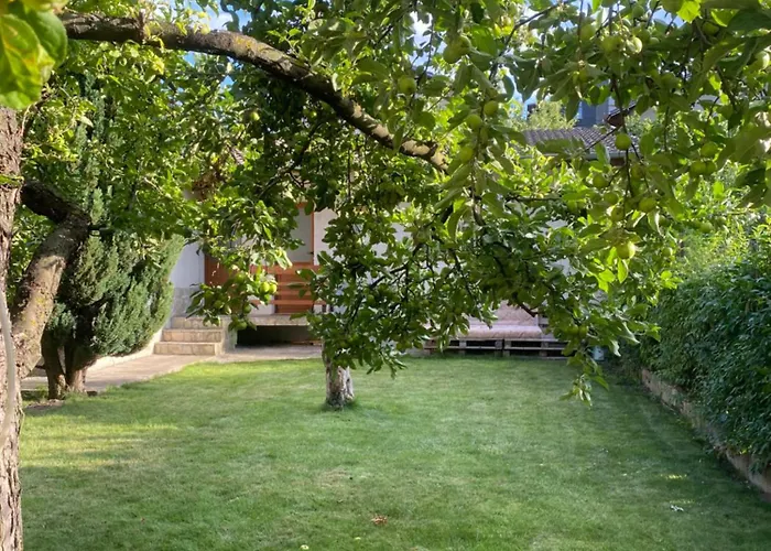 Deers 3* Μπάνσκο